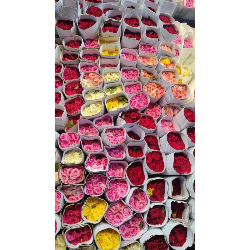 Floristería